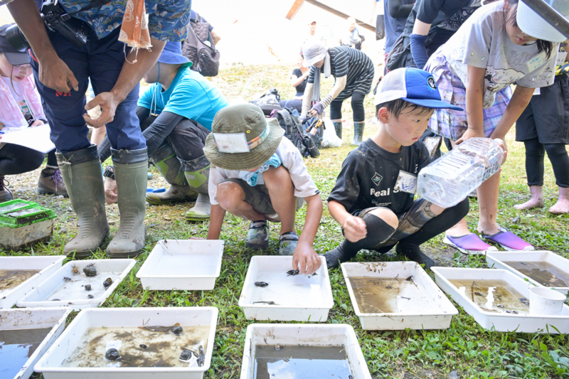 採集した生きものを観察する子どもの写真