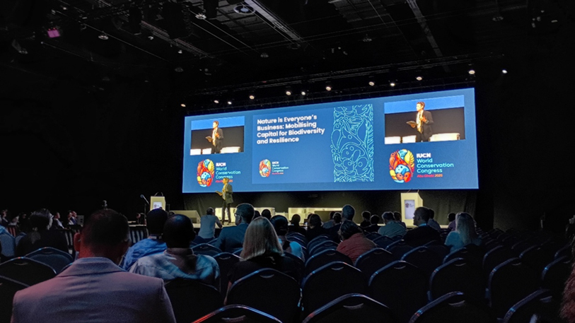 会議場での発表の様子