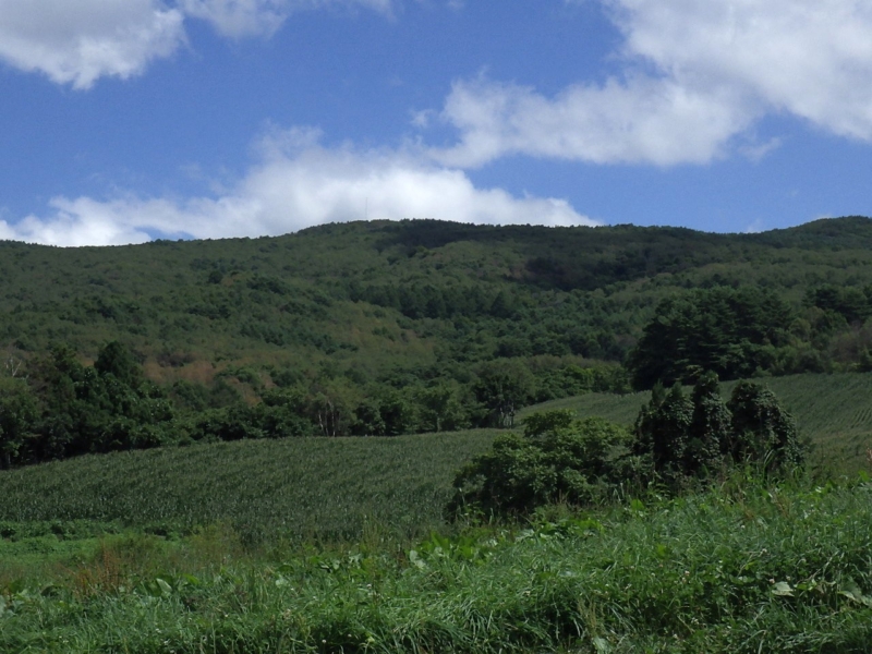 風車建設予定地の写真