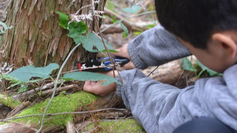 ナンバリングをする小学生の画像