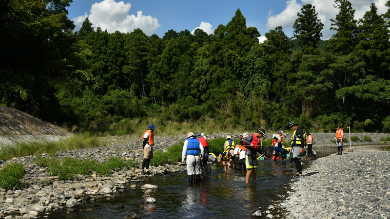 川での観察会の様子（画像）