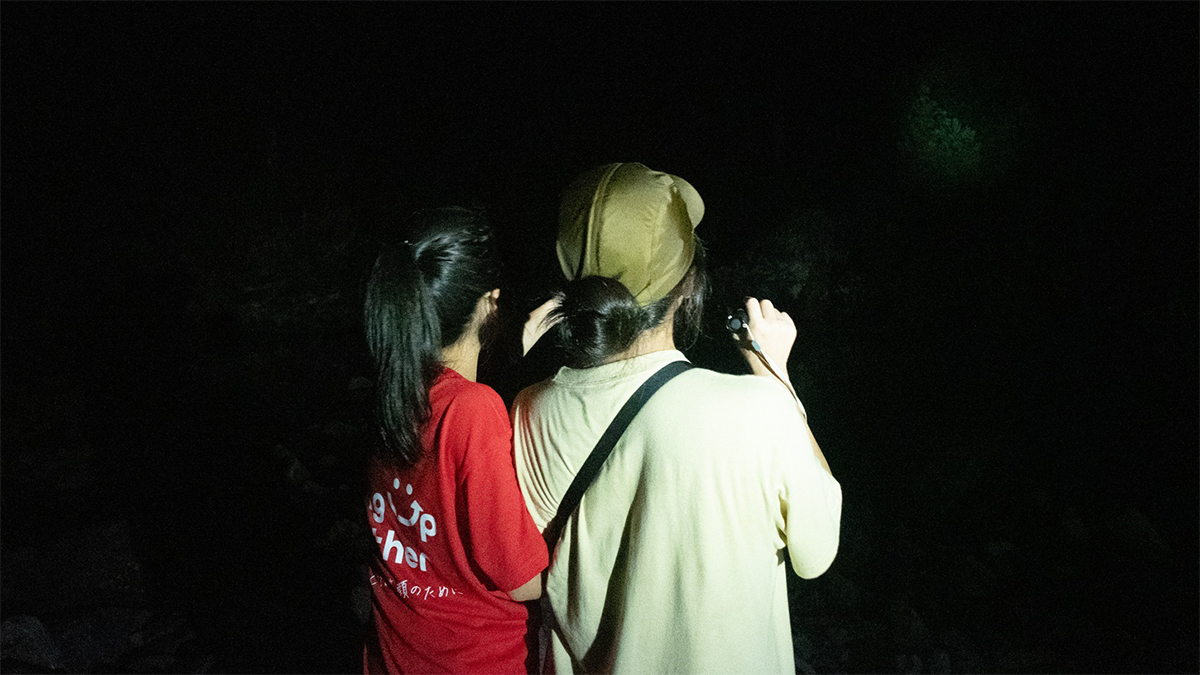 夜の観察会の様子