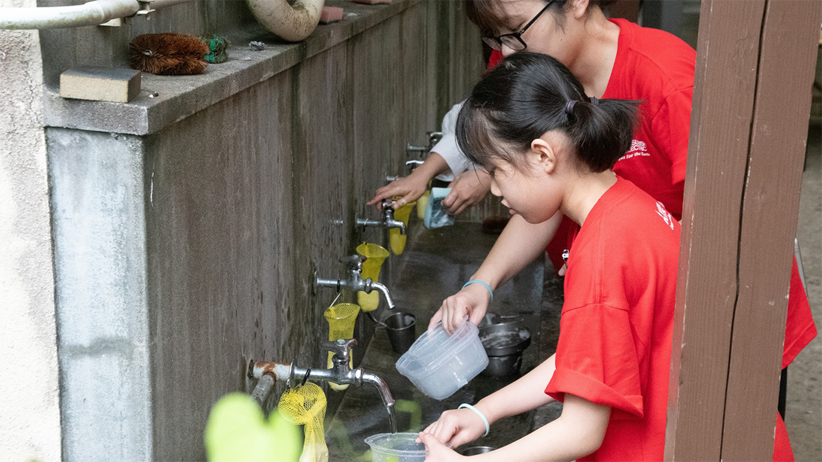 食器を洗う子どもたちの写真