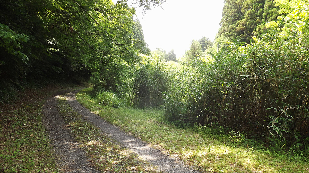 復元工事前の写真