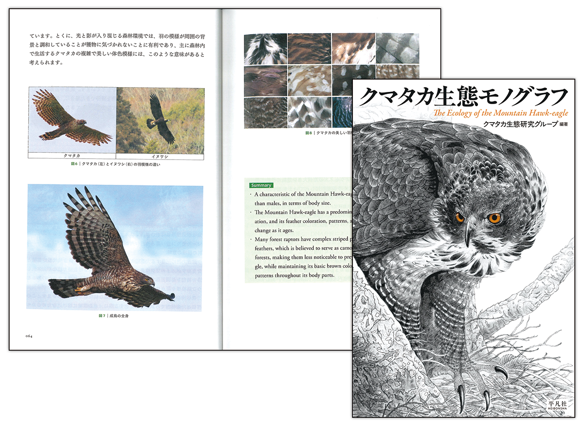 「クマタカ生態モノグラフ」書影