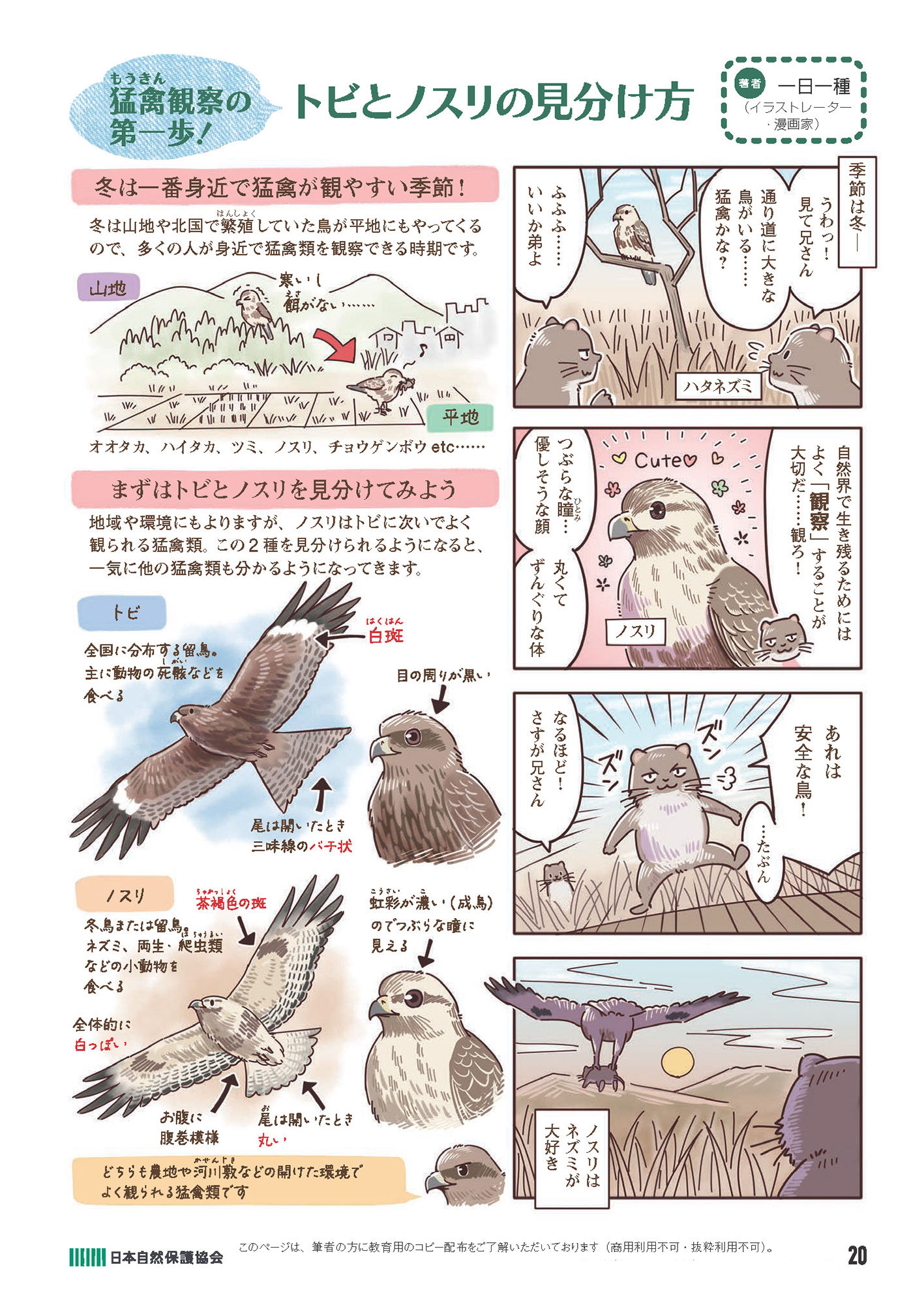 今日からはじめる自然観察4コマ