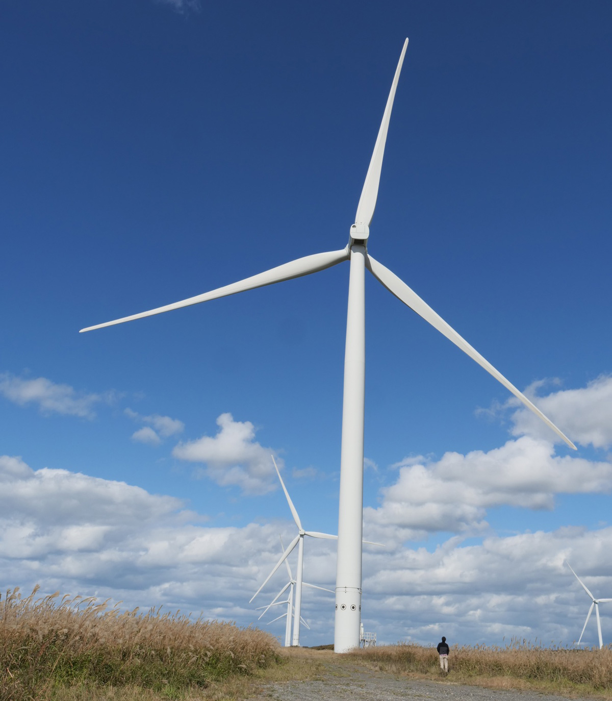 風力発電機の画像