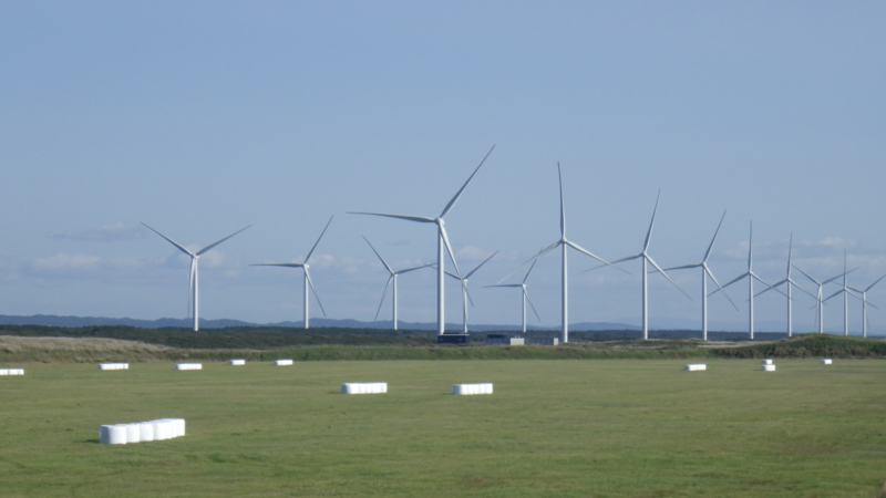 浜里ウインドファームの画像