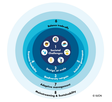 Nature Based Solutions