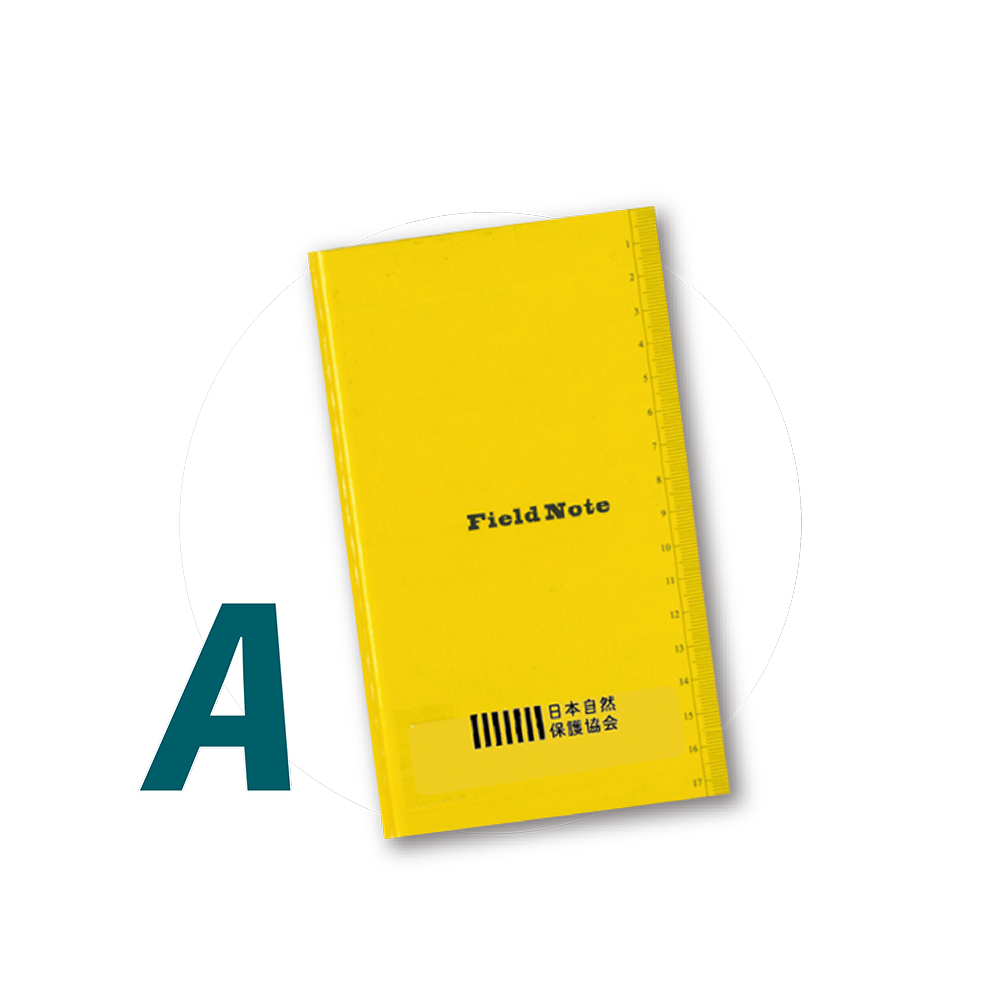 フィールドノート