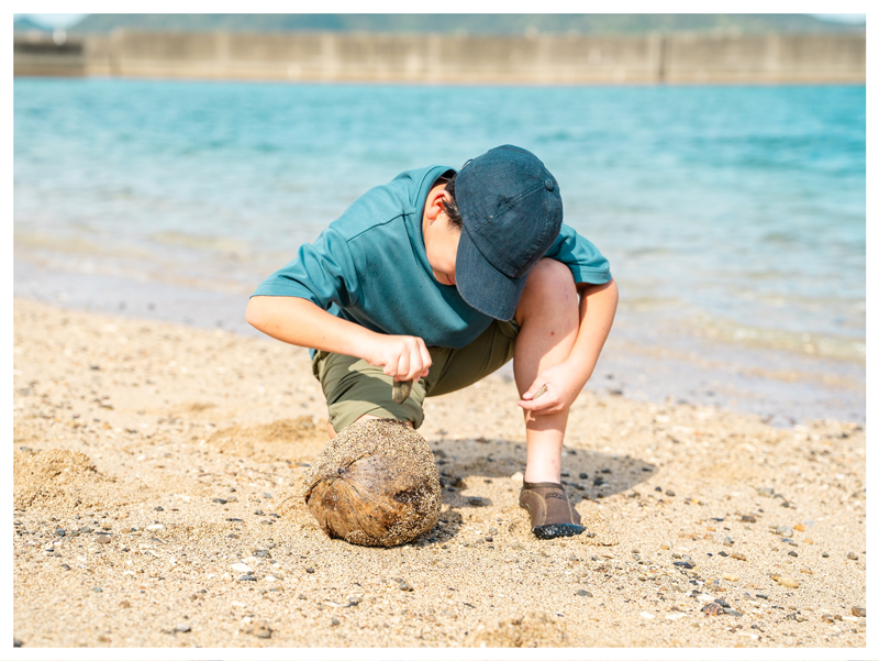 砂浜で生き物を観察する子どもの画像