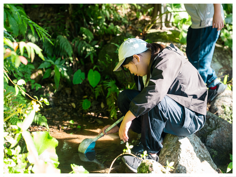 川の水を観察する子どもの画像
