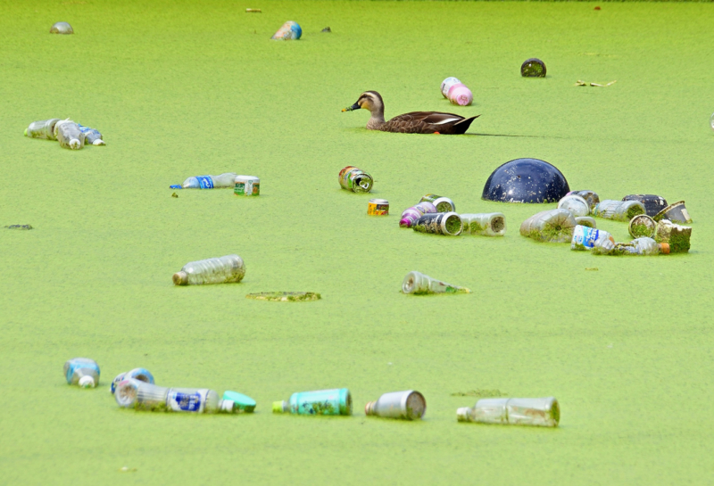 わぉ！グランプリ作品の画像