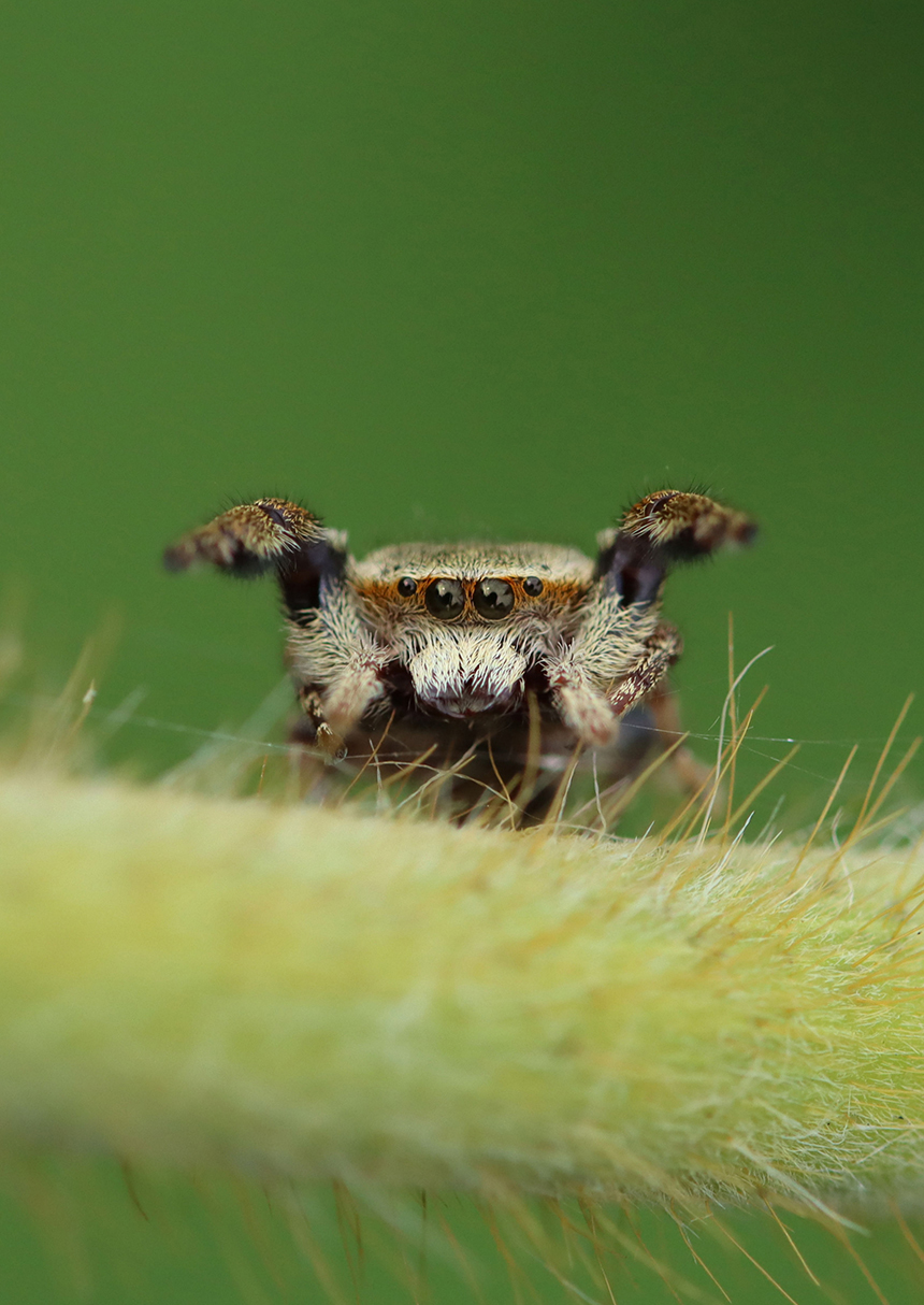 わぉ!グラフィック賞作品の画像
