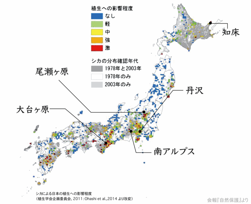 植生の影響を色分けした日本地図の画像