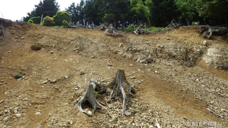 水が流れた後の土壌の画像