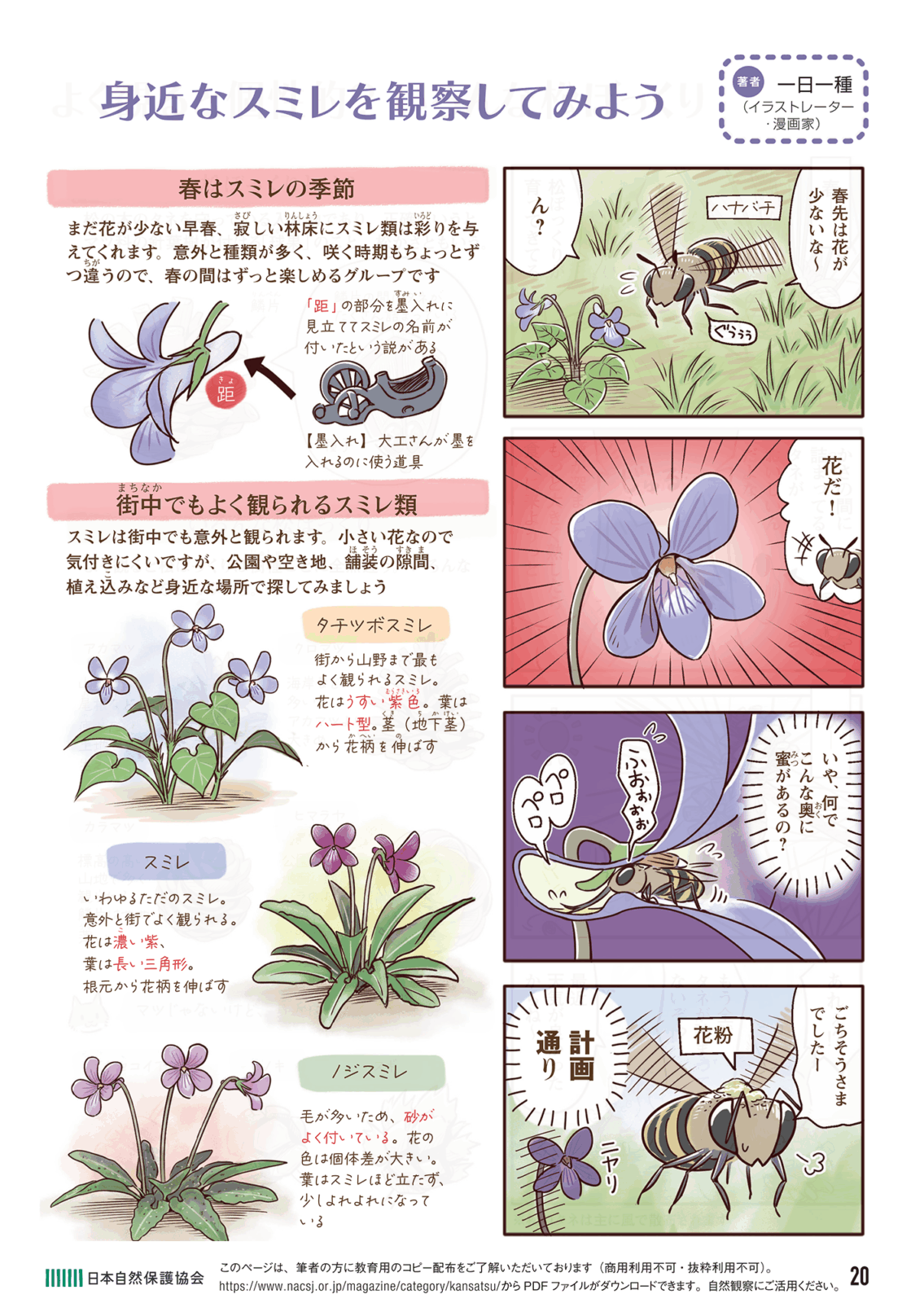 今日から始める自然観察の４コマ漫画ページの画像