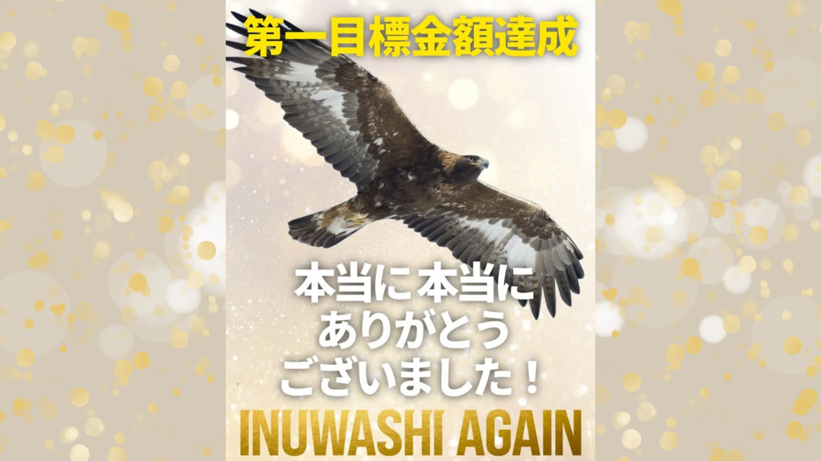 クラウドファンディング目標金額達成！ 南三陸イヌワシ野生復帰