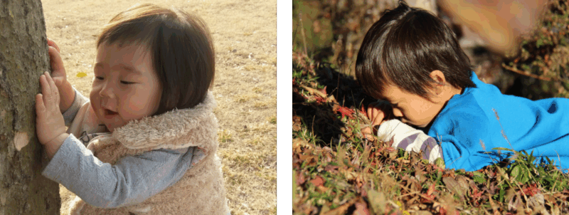 自然と触れ合う幼児の画像