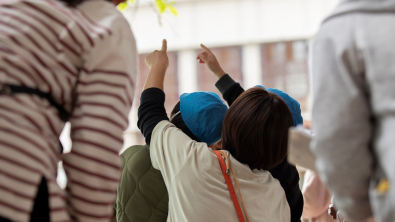 樹木を観察する参加者の画像