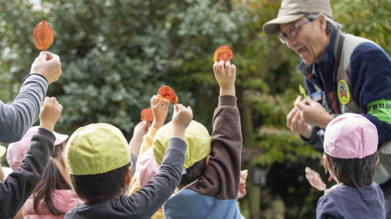葉っぱを先生に見せる園児の画像