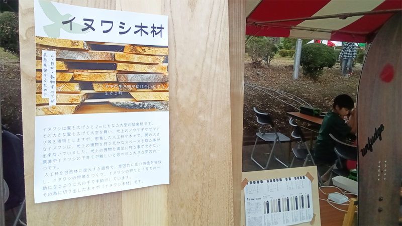 イヌワシ木材とスノーボードの展示写真