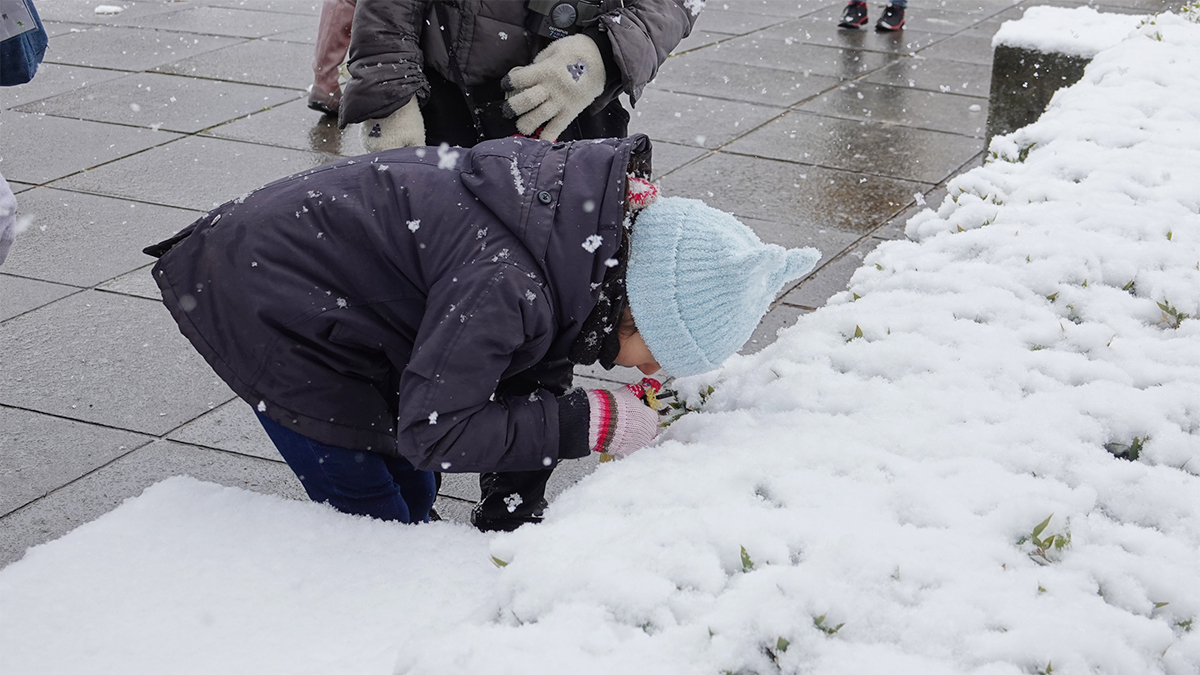 雪を観察する子ども