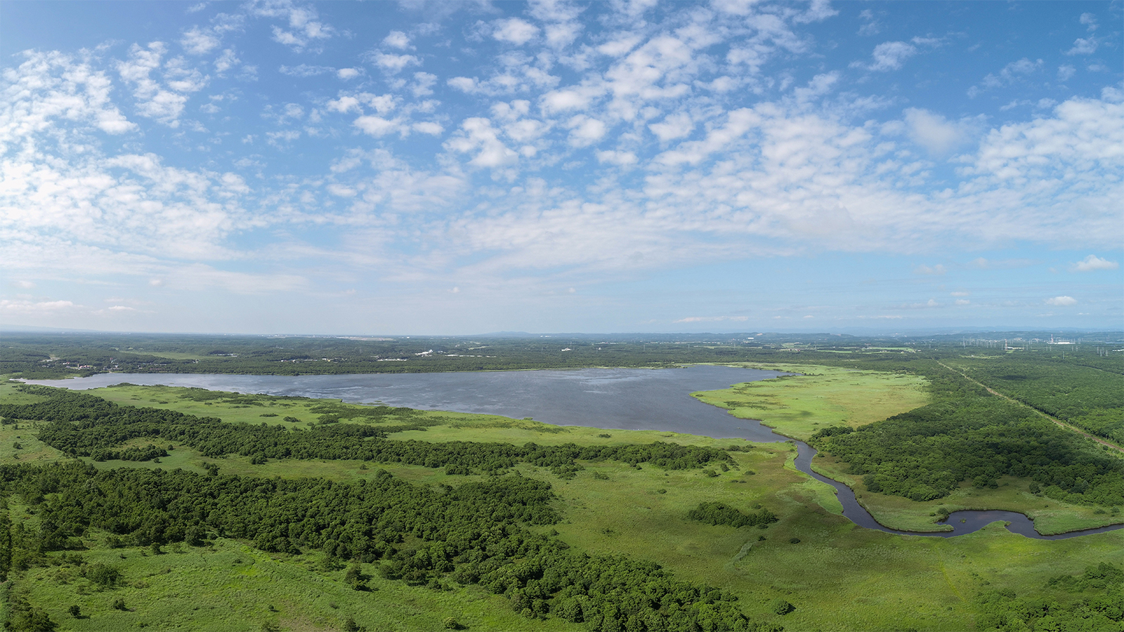 ウトナイ湖の写真