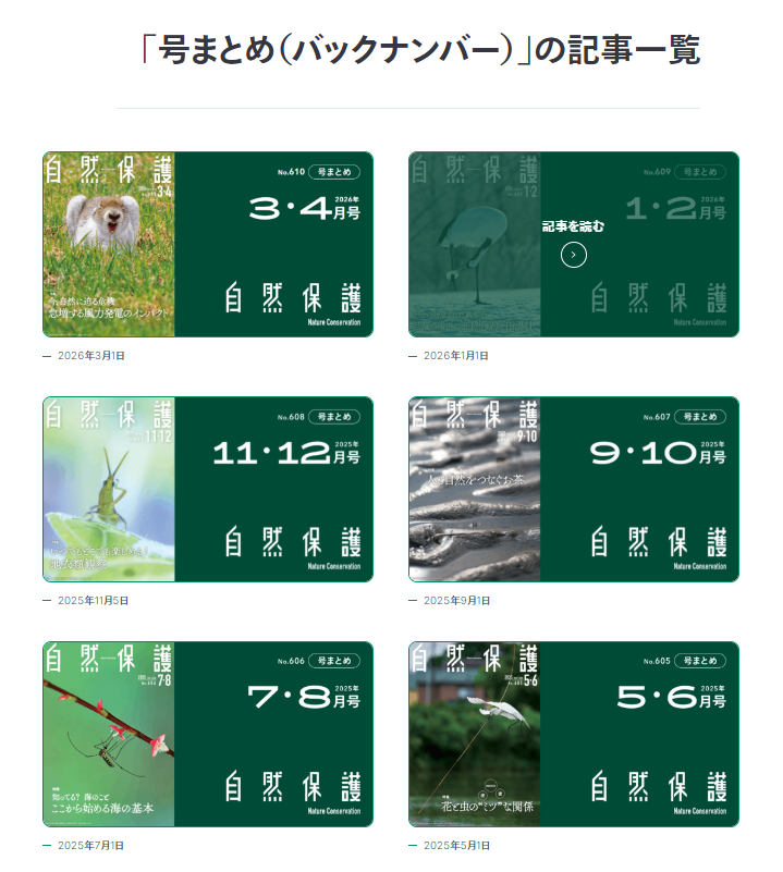 バックナンバー一覧