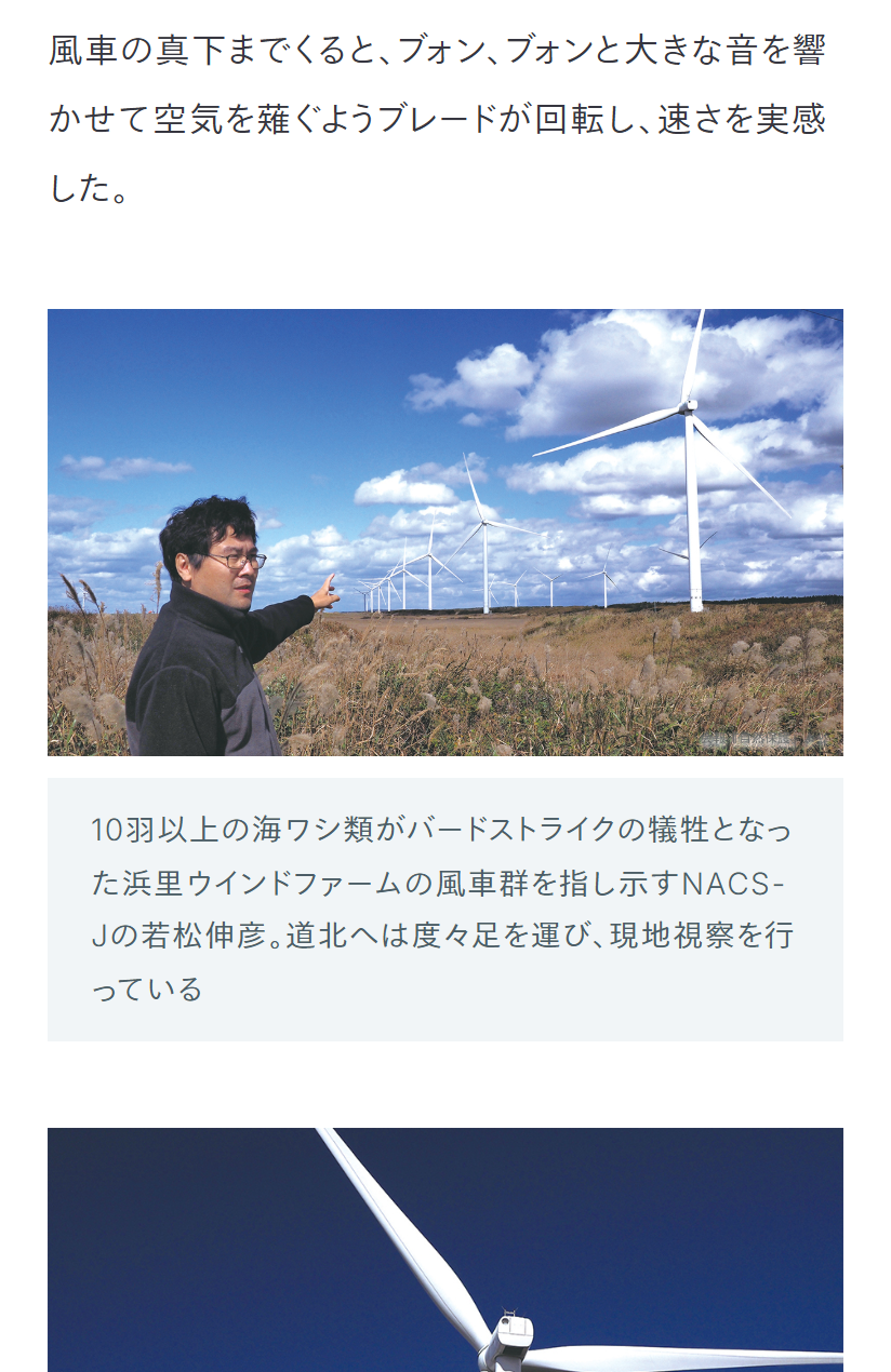 特集記事
