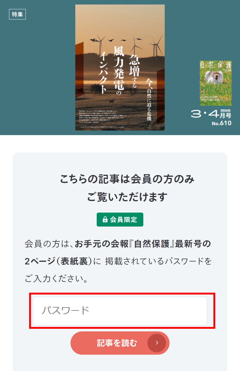 パスワード入力画面