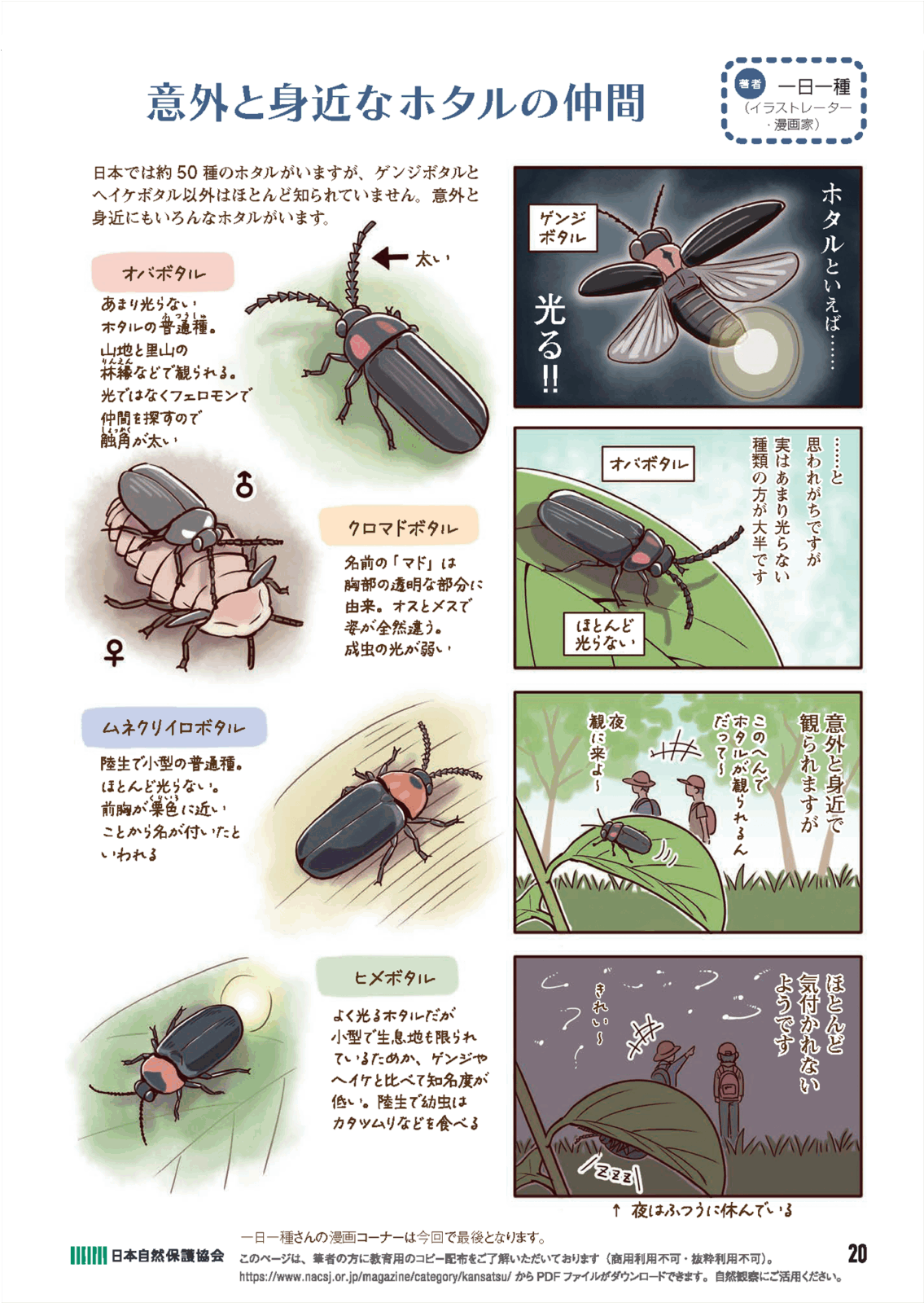 今日から始める自然観察の４コマ漫画ページの画像