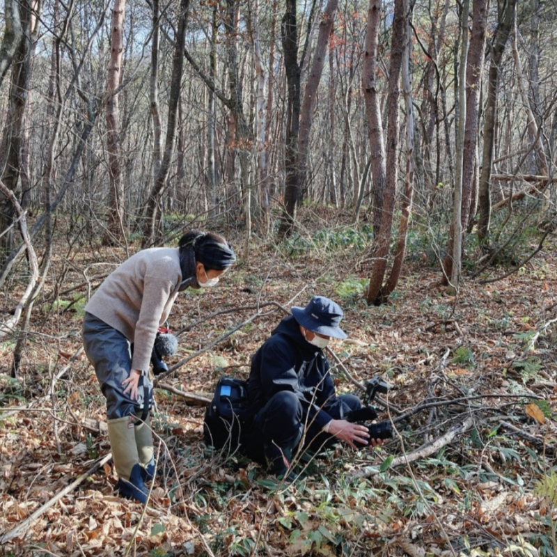 森の中で撮影をする2名の写真