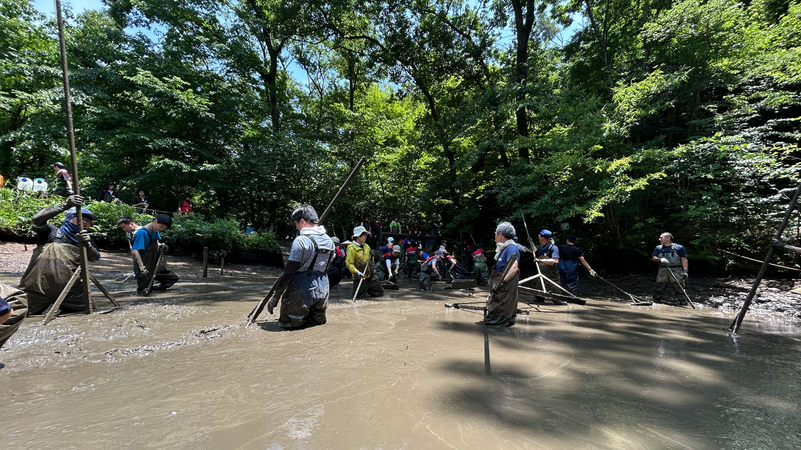 かいぼりの風景