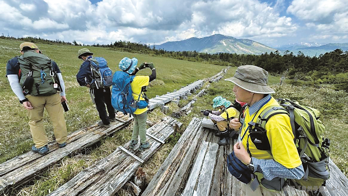 尾瀬ヶ原の木道を歩く人の写真