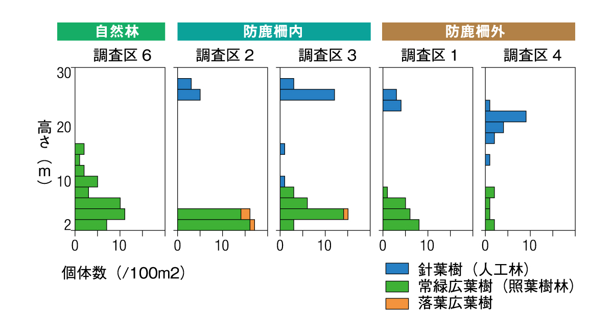 間伐地の樹木モニタリング調査結果