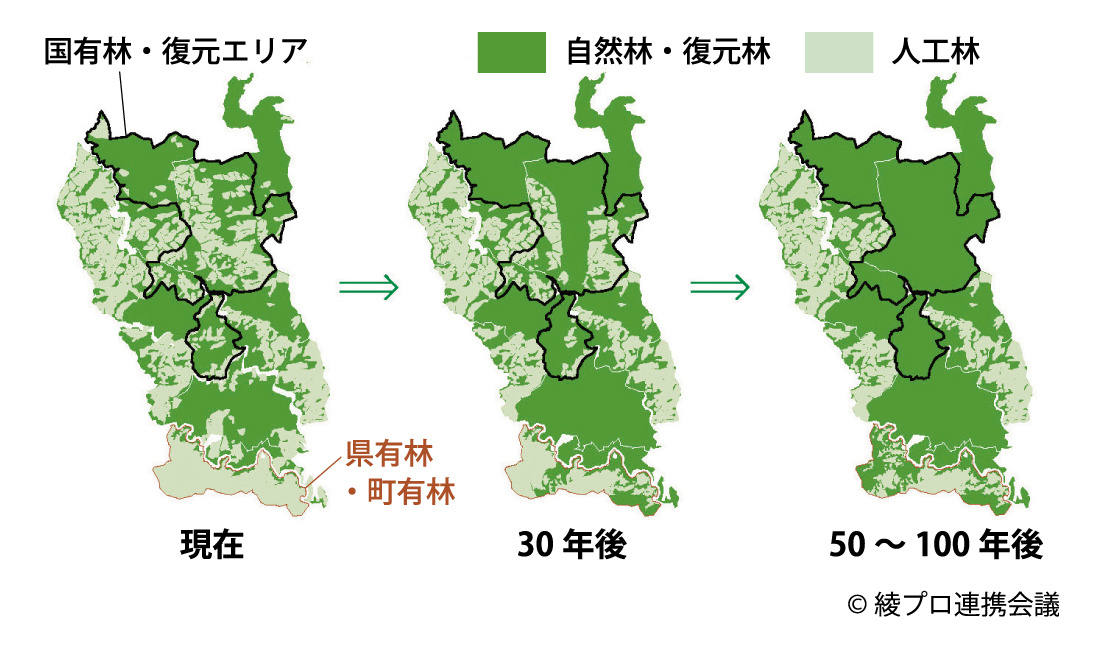 今後100年間の照葉樹林の復元イメージ