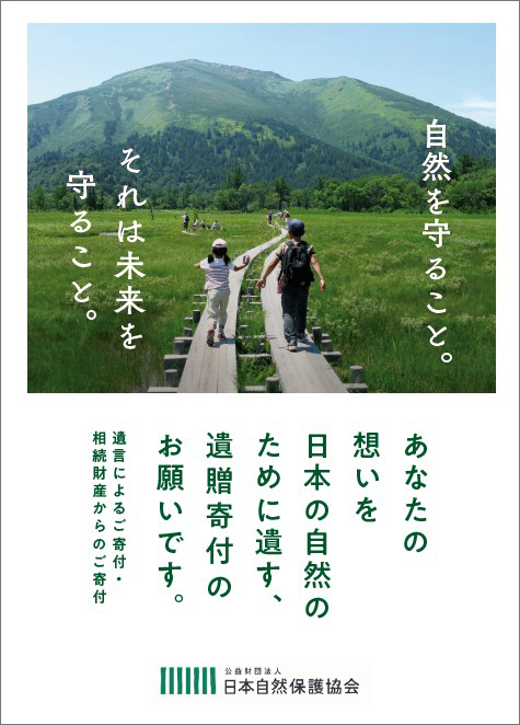 パンフレット書影