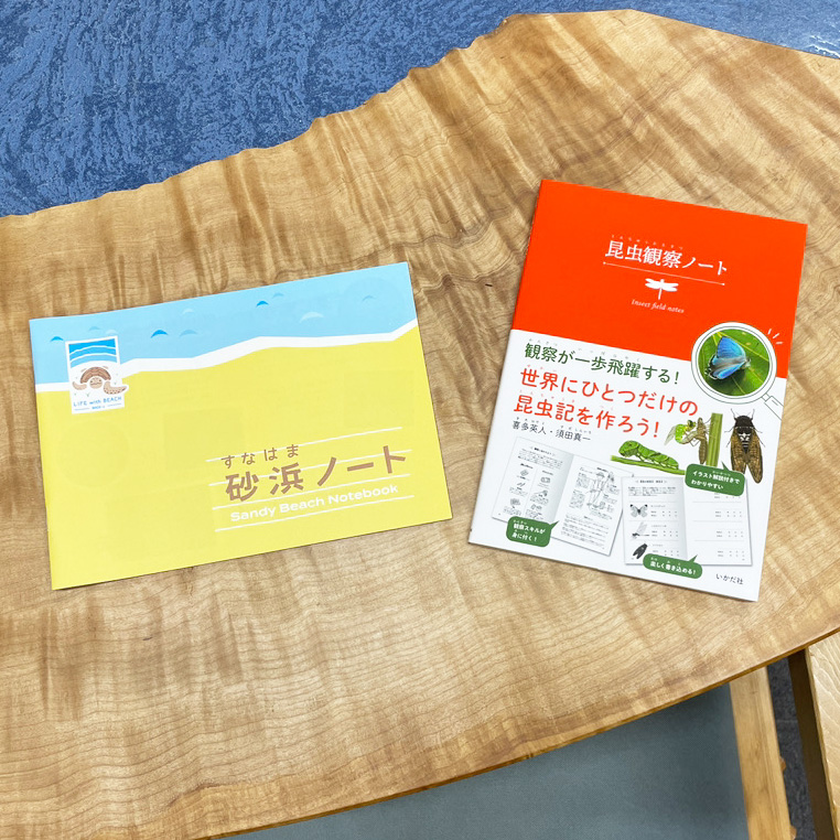 賞品3砂浜ノート＆昆虫観察ノートの画像