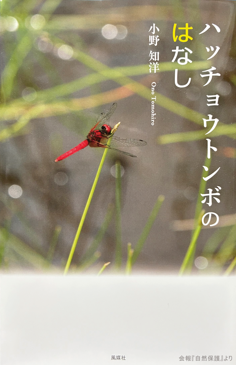 Ncafe投稿者の著作本の画像