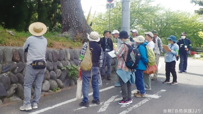 観察会の画像