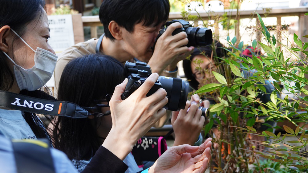 写真を撮る人々の写真