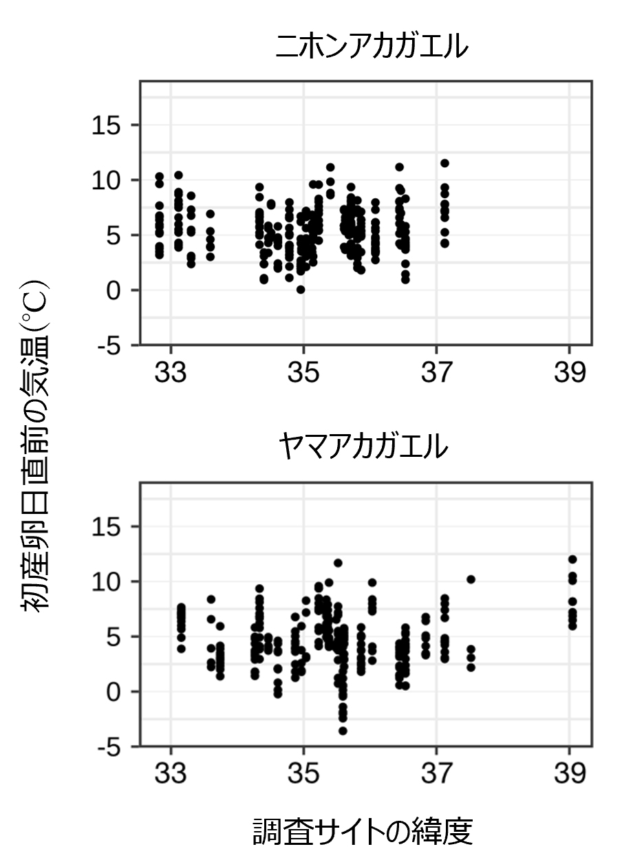 調査サイトの緯度と初産卵日直前7日間の平均気温の関係を示したグラフ