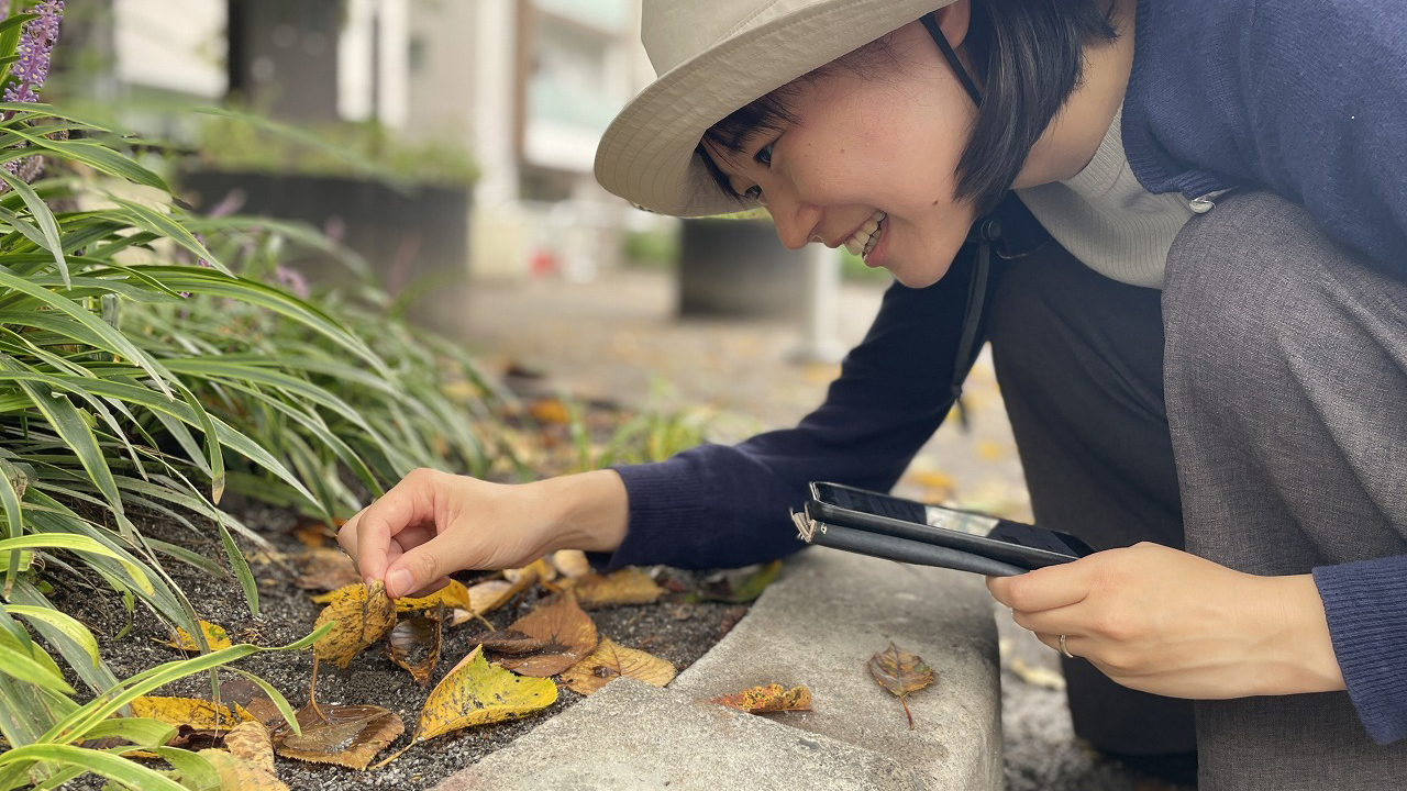 落ち葉をめくる人の写真