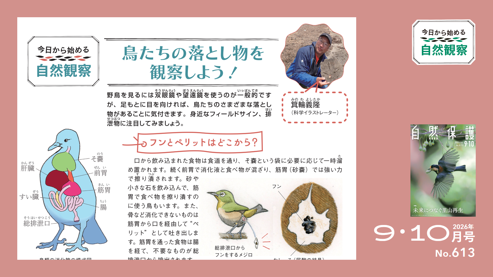 613号「今日からはじめる自然観察」アイキャッチ
