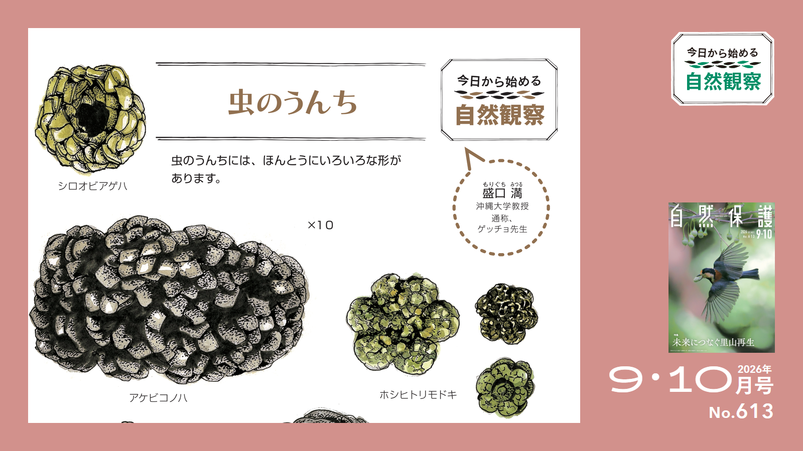 613号「今日からはじめる自然観察」ゲッチョ先生アイキャッチ