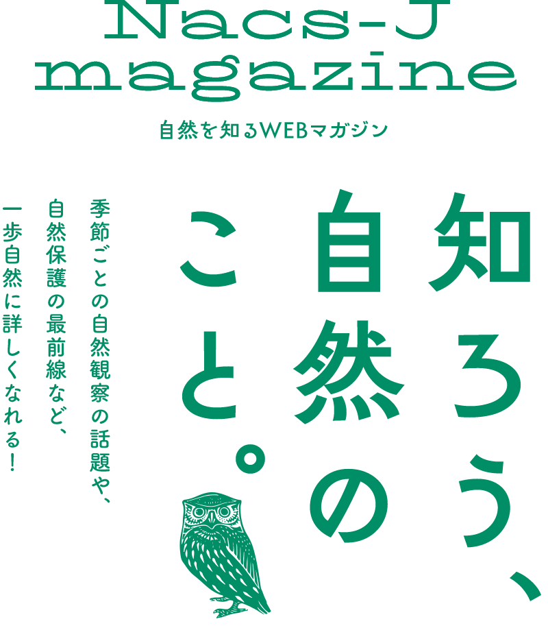 自然を知るWEBマガジン「知ろう、自然のこと。」